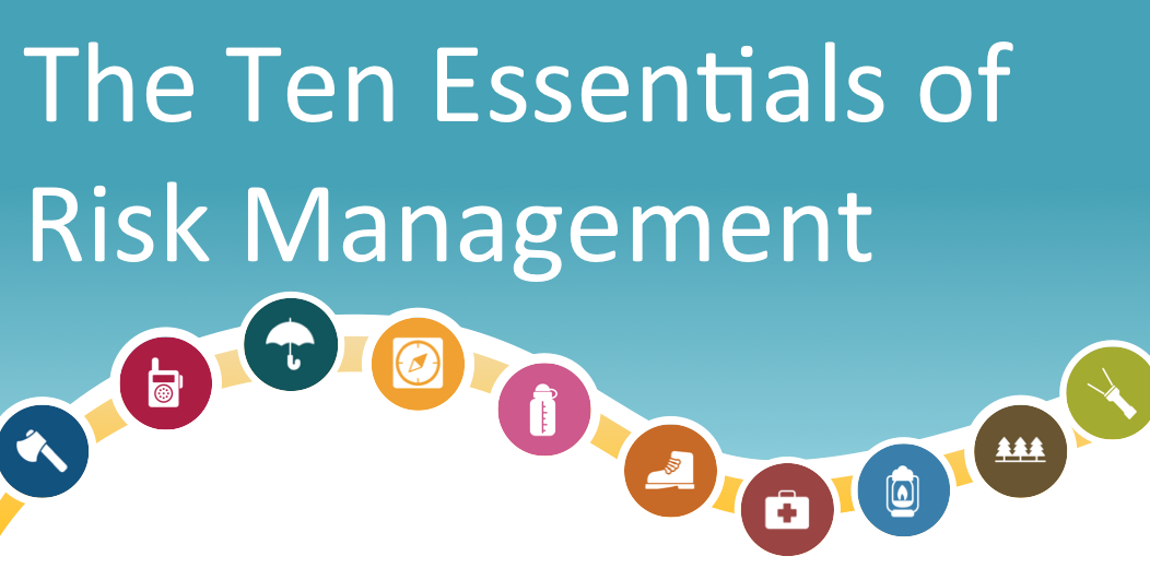 The Ten Essentials of Risk Management